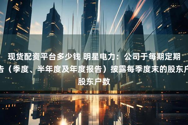 现货配资平台多少钱 明星电力：公司于每期定期报告（季度、半年度及年度报告）披露每季度末的股东户数
